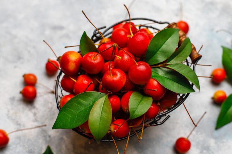 Acerola