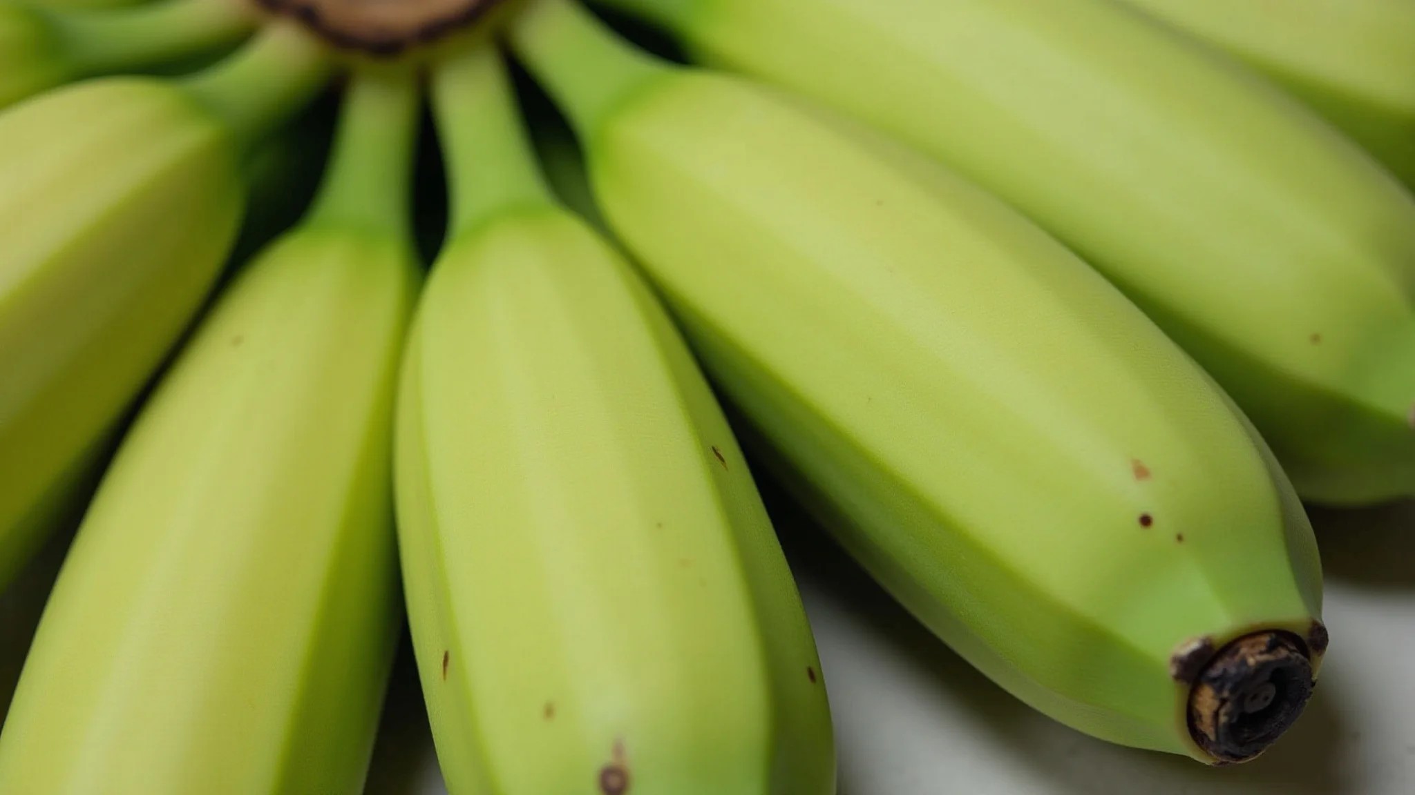 Bananas verdes em close, textura e cor em foco.