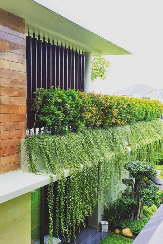 Telhado Verde: Saiba Como Funciona ...