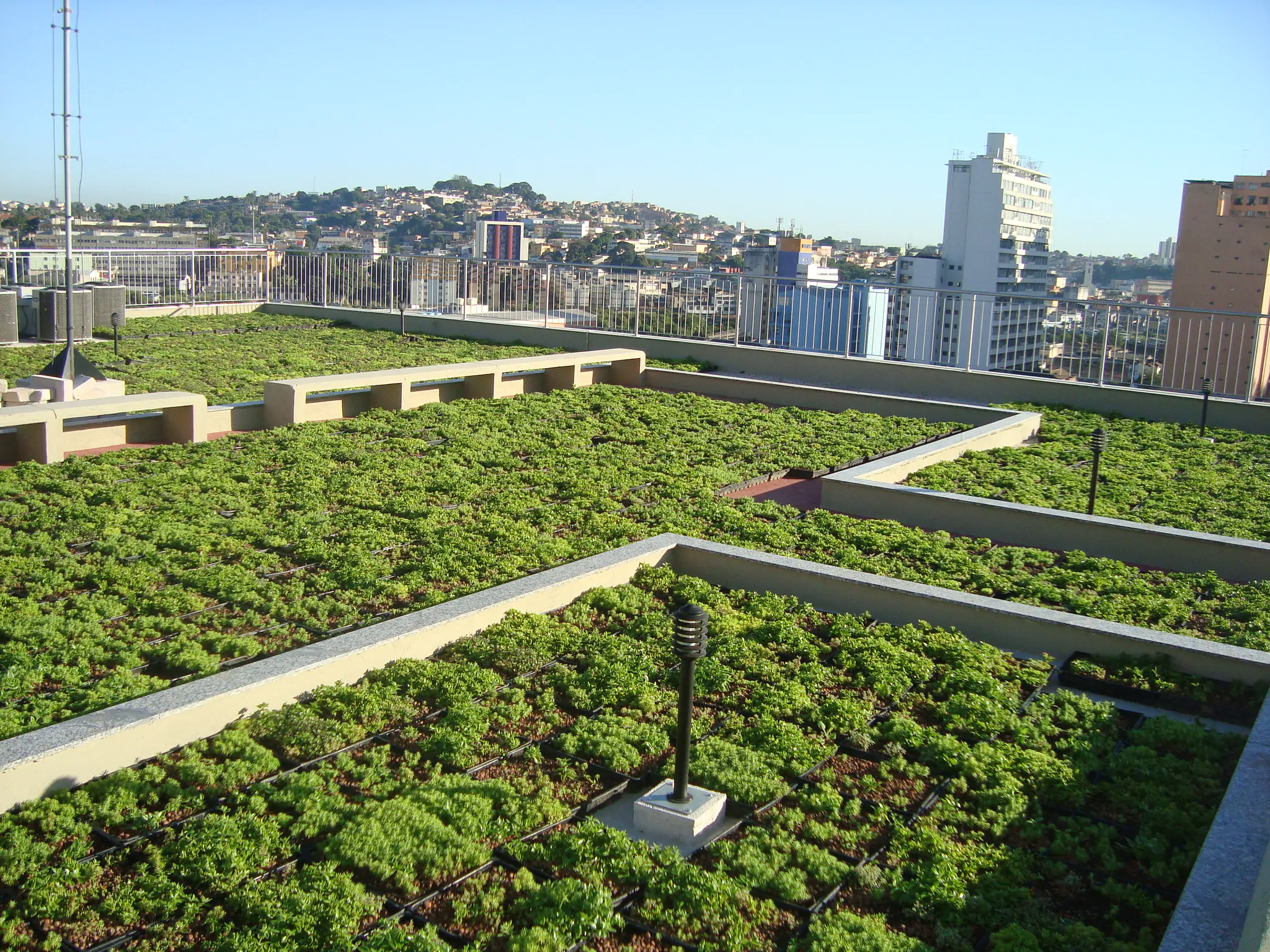 QUAIS SÃO AS VANTAGENS DO TELHADO VERDE?