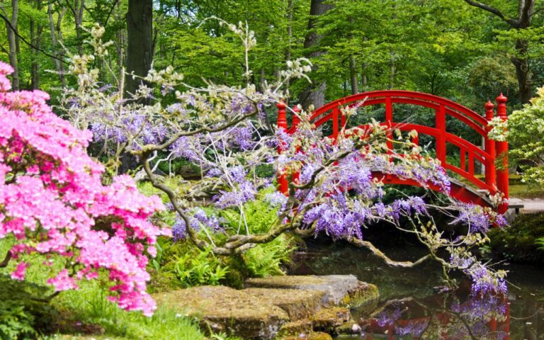 7 passos para criar um jardim japonês em casa, no Brasil