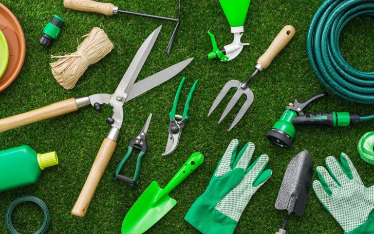 A lei da lâmina: as 3 ferramentas básicas para ter uma horta em casa ou no apê