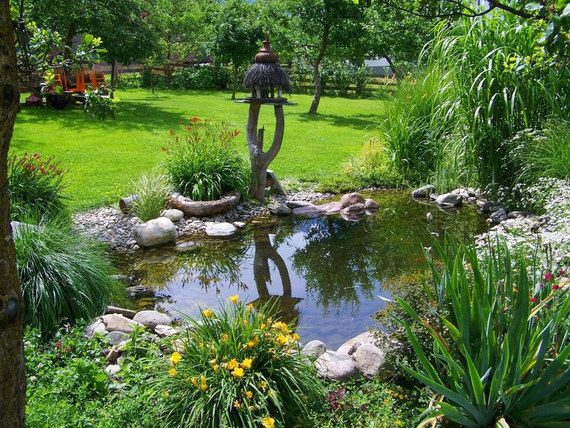 Um lago no seu jardim – Portal do ...