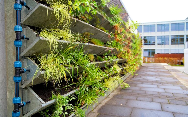 Essas são as plantas certas para colocar no seu jardim vertical