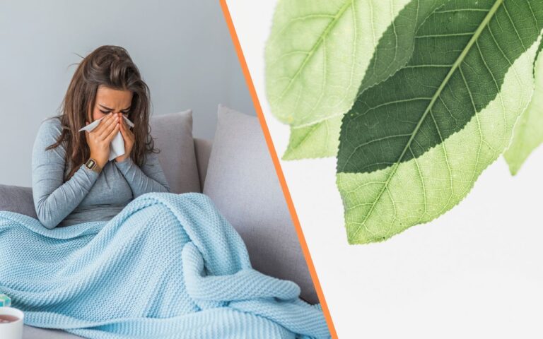 Quem tem essa planta em casa se protege de gripe e dor de garganta