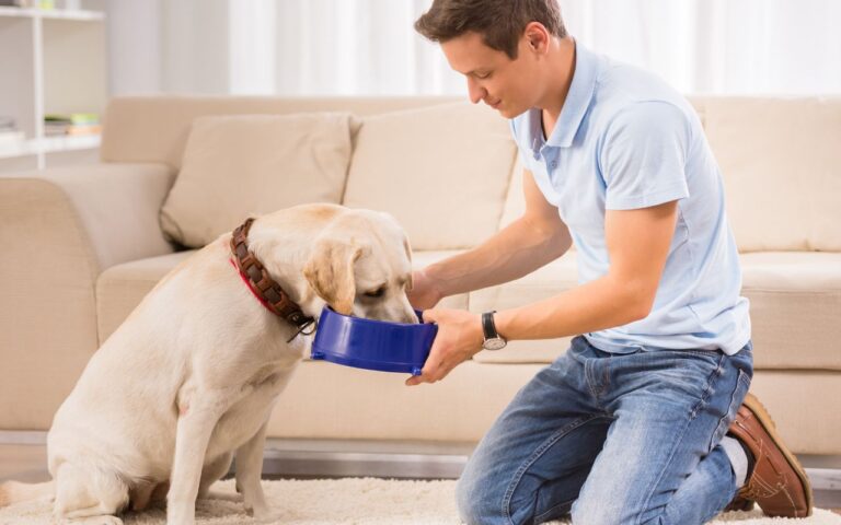 O síndico te proibiu de ter pet? A lei está do seu lado; entenda