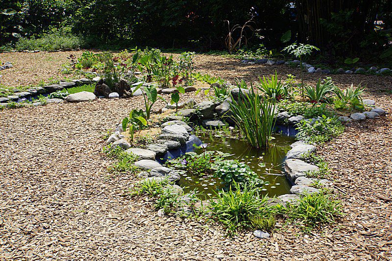 Um lago no seu jardim – Portal do ...