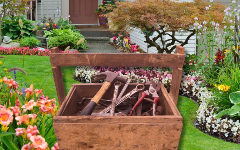 A ferramenta japonesa de 30 dólares que transforma seu jardim em profissional