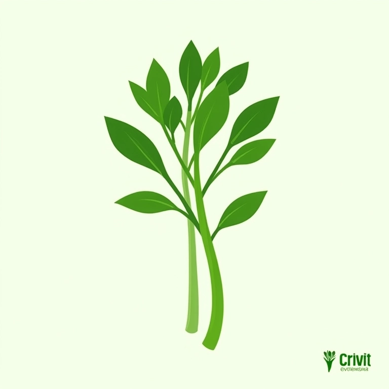 Infográfico sobre os benefícios nutricionais do agrião.