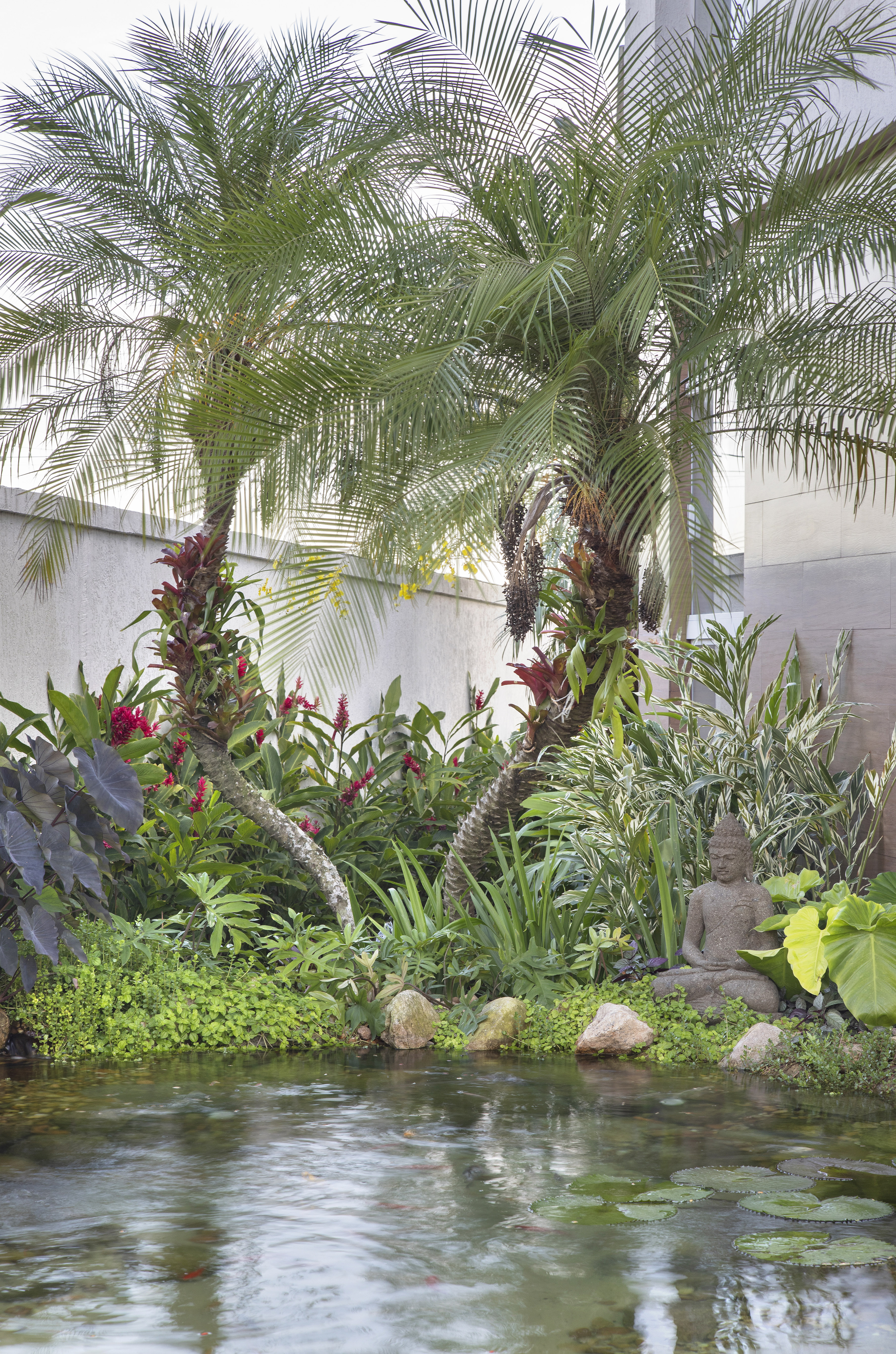 Jardim tropical de 900m² tem lago de ...