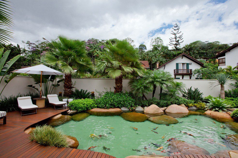 Lago ornamental: tudo que você precisa ...