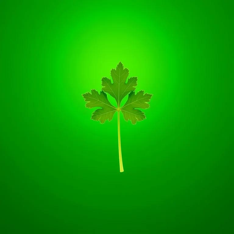 Close-up de folhas de salsa verde com gotas de água