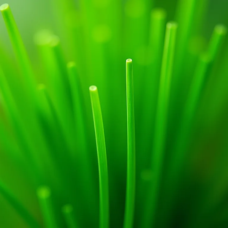 Close-up detalhado de nirá fresco com sua textura exuberante.