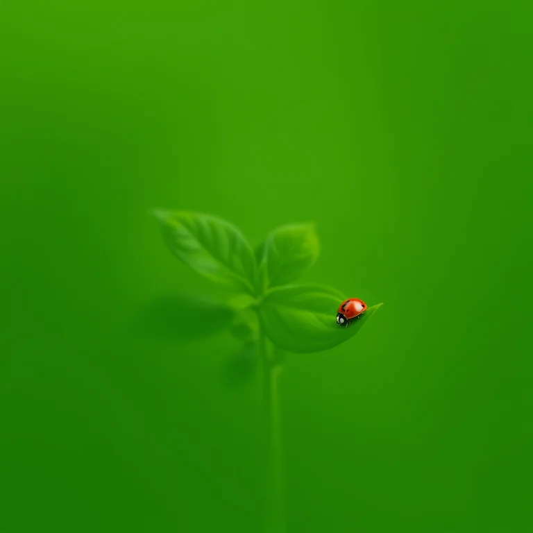 Joaninha pousada em folha de manjericão em horta orgânica.