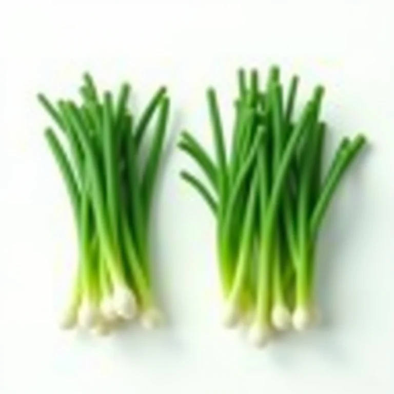 Nirá e cebolinha lado a lado, destacando suas diferenças sutis.