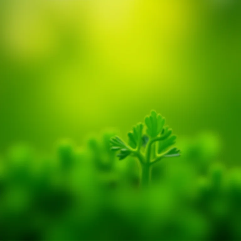 Salsa com bokeh em forma de coração