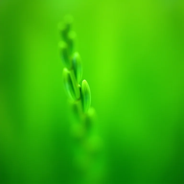 Close-up da estrutura da erva cavalinha