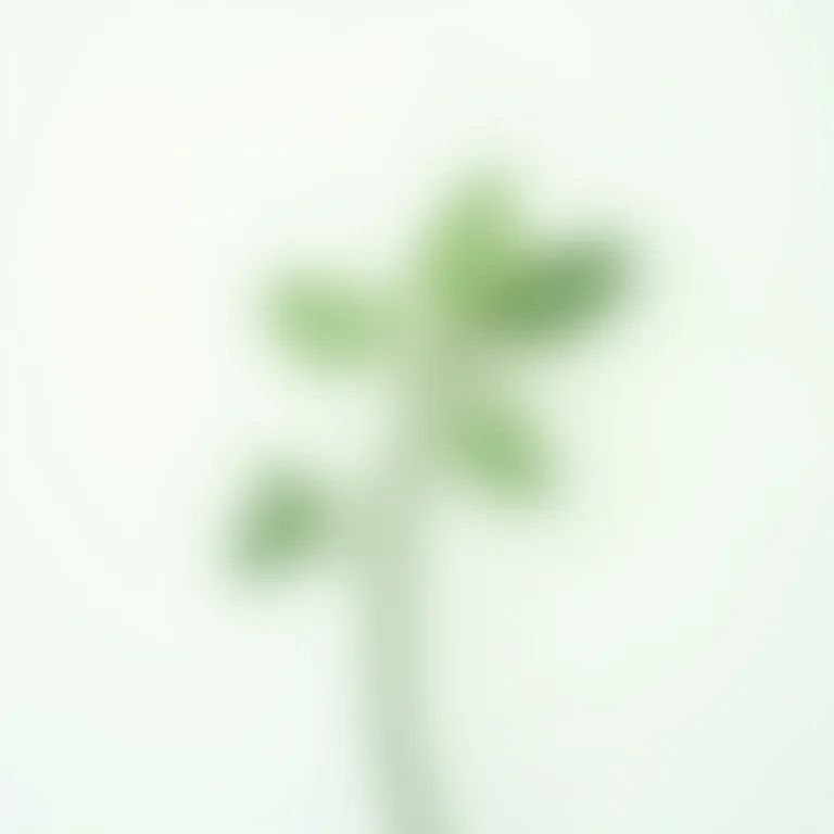 Close-up da planta arruda