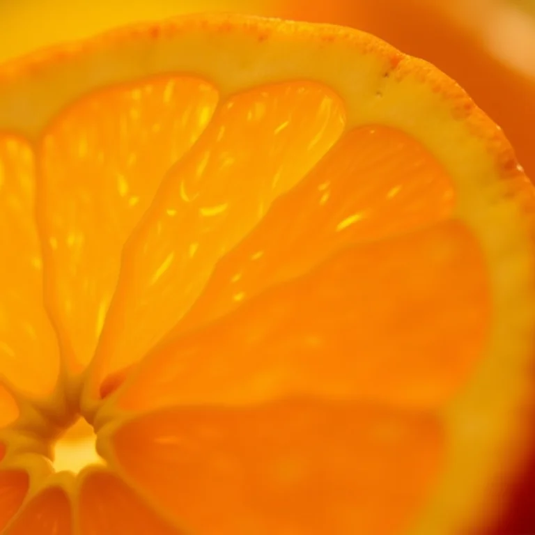 Close-up de fatias de laranja mostrando a polpa e as fibras.