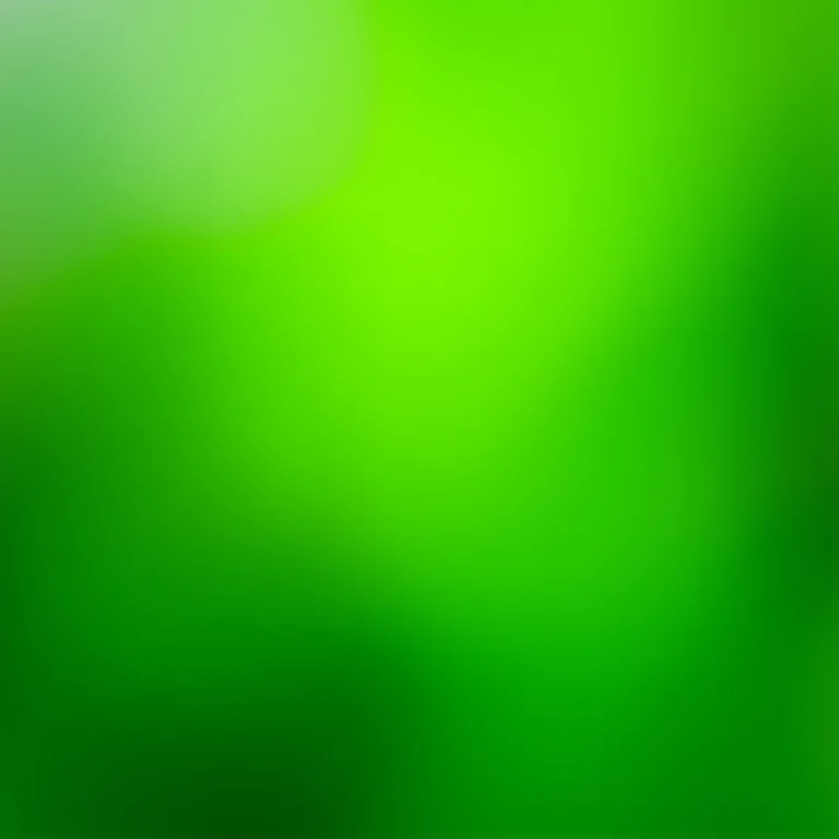 Close-up de folhas de hortelã fresca