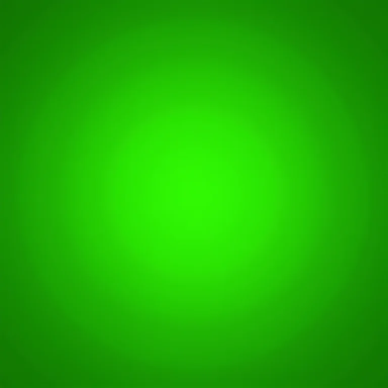 Close-up de folhas frescas de menta marroquina