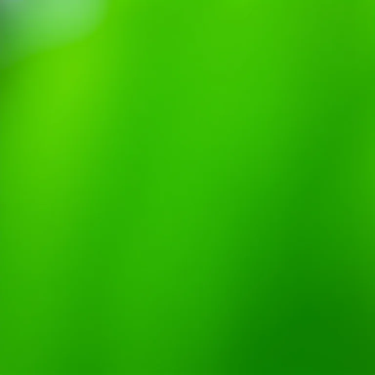 Detalhe macro das folhas frescas de capim santo