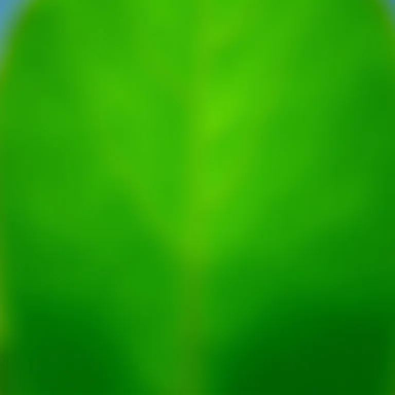 Detalhe macro de folhas de erva cidreira.