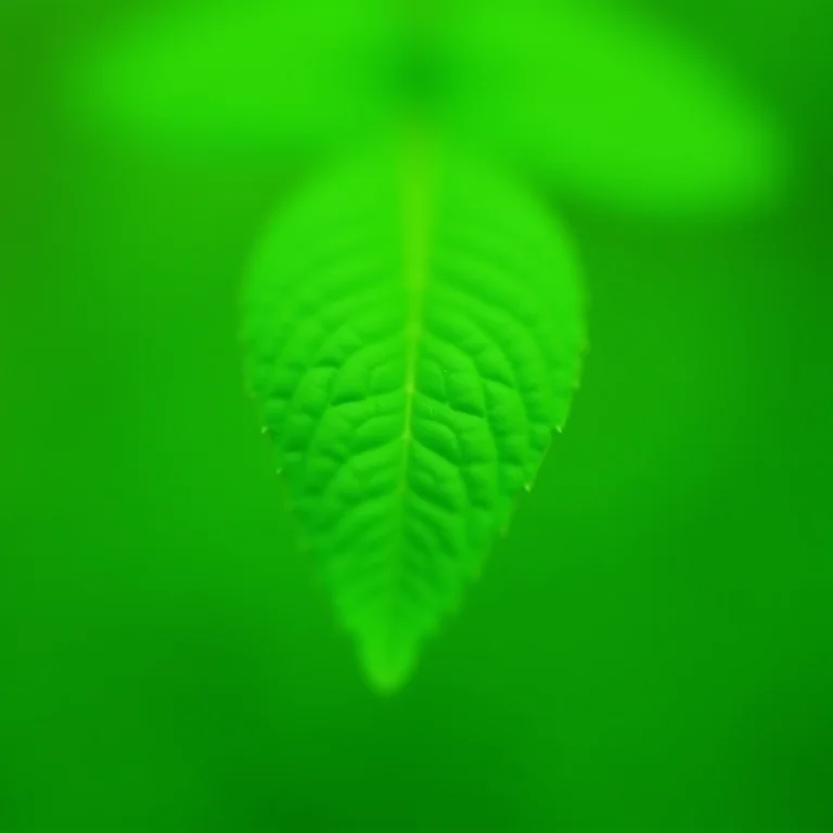 Erva cidreira: relaxamento em nível celular.