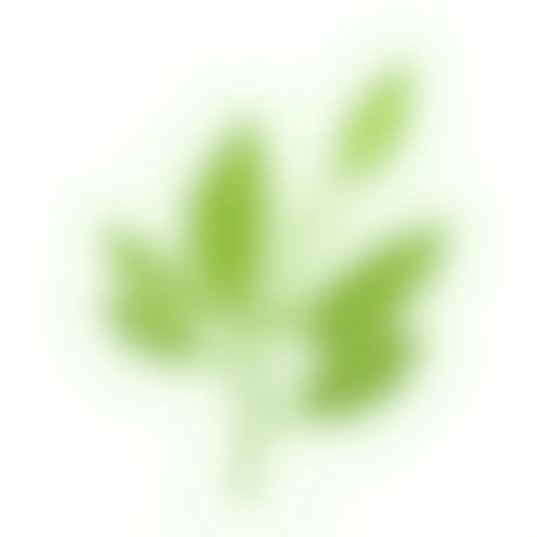 Raminho de arruda em fundo branco