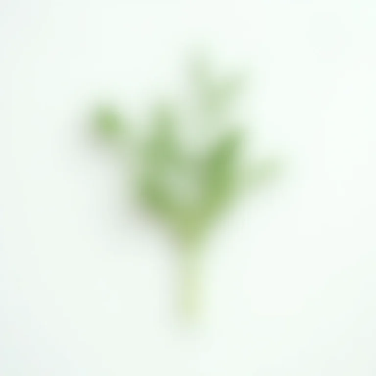 Ramo de arruda com álcool e frasco