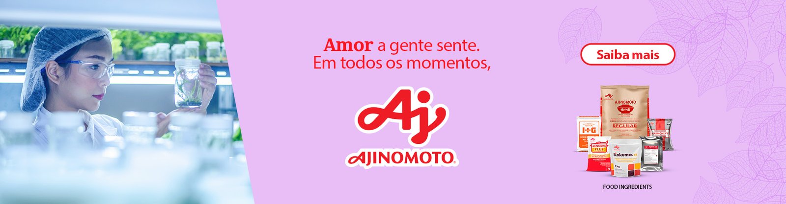 Consumo Exagerado de Ajinomoto: Quais os Riscos? - inspiração 1