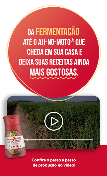 Consumo Exagerado de Ajinomoto: Quais os Riscos? - inspiração 3