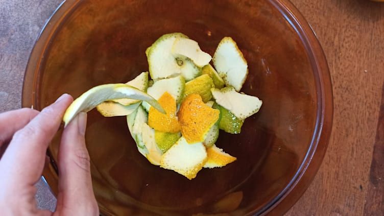 Zestes Congelados: Sabor Fresco Sempre à Mão - inspiração 1