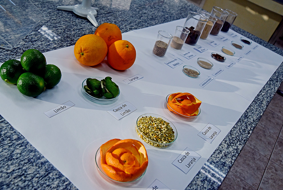 Pasta de Limpeza Natural: Para um Lar Impecável sem Químicos - inspiração 3