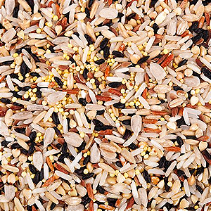 Vitaminas e Minerais Essenciais: Um Combo Imbatível Para a Saúde - inspiração 3