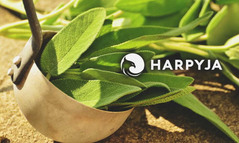 Dica #10: Prepare um banho relaxante com sálvia para aliviar o estresse - inspiração 1