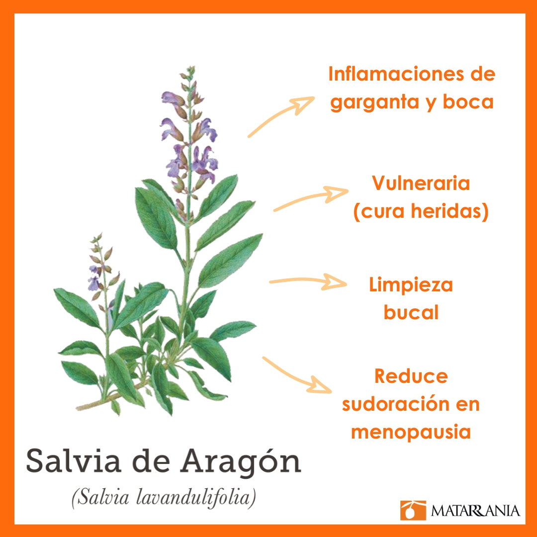 Dica #2: Use a sálvia para amenizar os fogachos da menopausa - inspiração 3