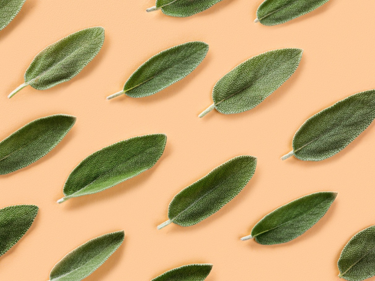 Dica #8: Experimente compressas de sálvia para aliviar dores musculares - inspiração 3