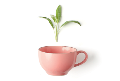 Dica #9: Inclua a sálvia na sua rotina de skincare para uma pele radiante - inspiração 2