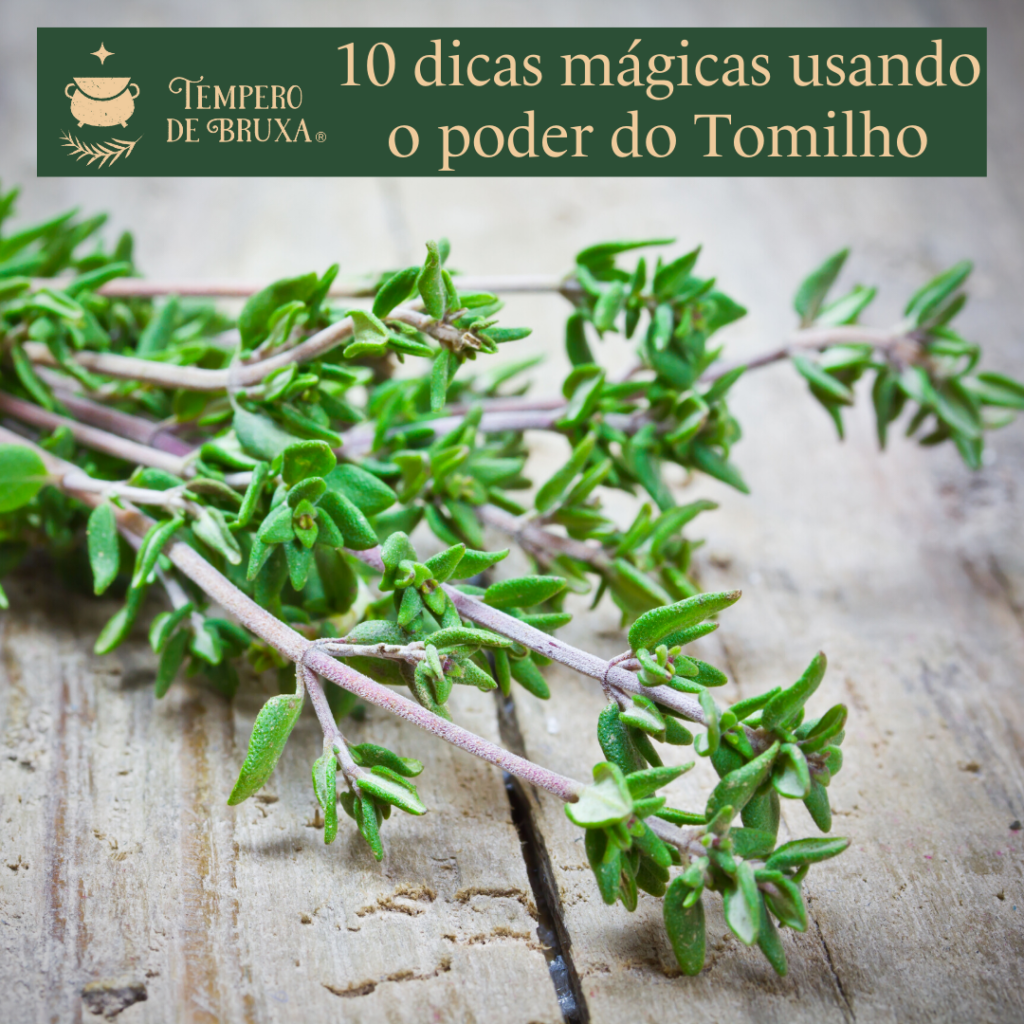 Dica #2: Use Tomilho para Reforçar a Imunidade e Afastar Gripes - inspiração 1