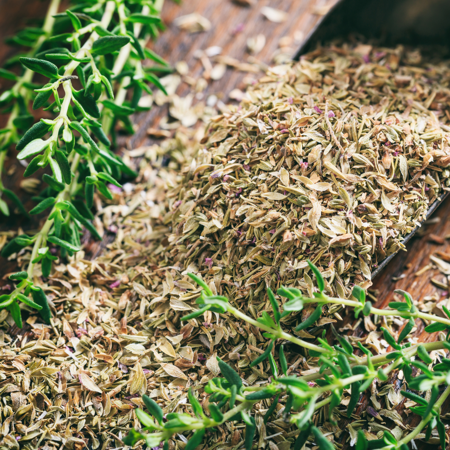 Dica #2: Use Tomilho para Reforçar a Imunidade e Afastar Gripes - inspiração 3