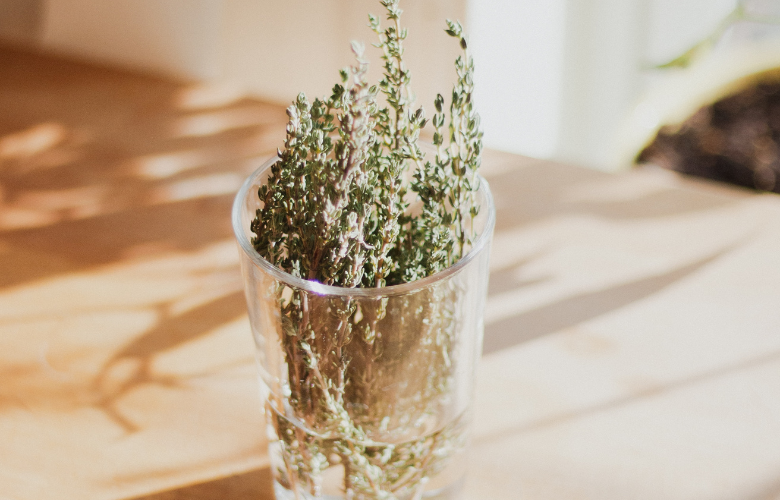 Dica #5: Experimente o Tomilho para Melhorar o Humor e Reduzir o Estresse - inspiração 1