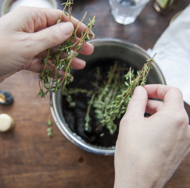 Dica #6: Faça um Gargarejo com Tomilho para Aliviar Dores de Garganta - inspiração 1