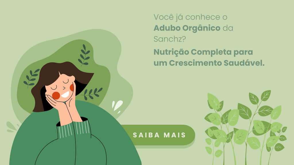 Dica #7: Crie um Óleo Infusionado de Tomilho para Cuidar da Sua Pele - inspiração 1