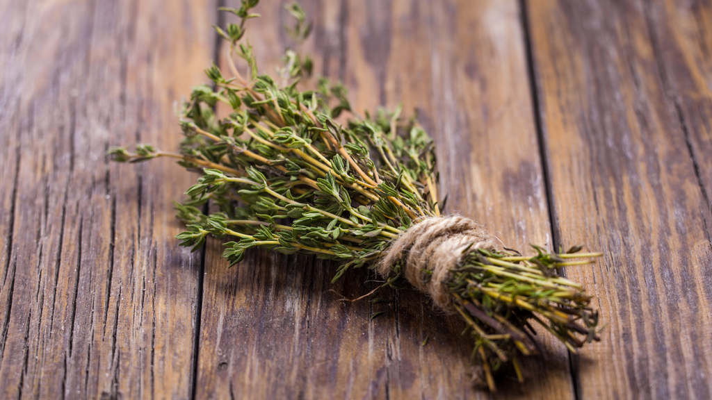 Dica #9: Cultive Tomilho em Casa para Ter Sempre à Mão - inspiração 3