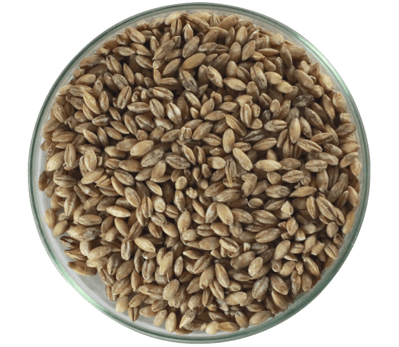 Prepare uma Sopa Revigorante de Cevada e Legumes - inspiração 1