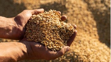 Prepare uma Sopa Revigorante de Cevada e Legumes - inspiração 2