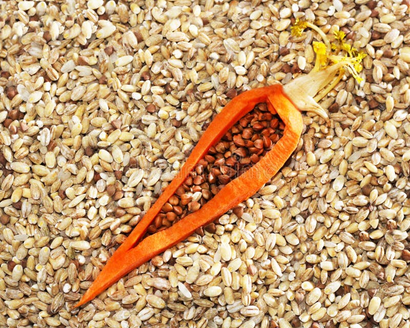 Descubra o Poder da Farinha de Cevada em Bolos e Biscoitos - inspiração 2