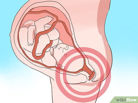 Alternativas Naturais Que Seu Médico Aprova (e Recomenda) - inspiração 1