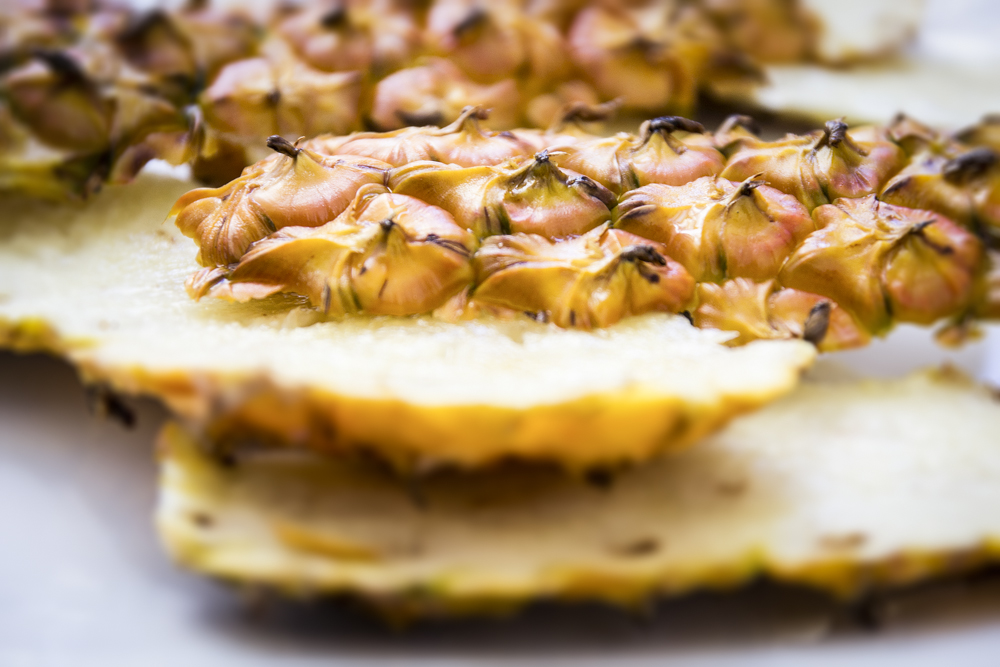 A Importância da Consulta com o Obstetra - inspiração 2